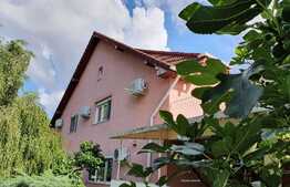 Casa deosebita, de lux, 300 mp utili, zona Braytim!