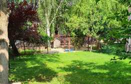 Casa deosebita, de lux, 300 mp utili, zona Braytim!