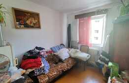 Garsoniera de vanzare, etaj intermediar, zona Dambovita!