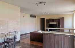 Apartament de 2 camere, 65 mp, terasa spatioasa, zona Lipovei!