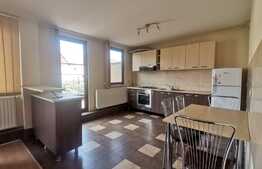 Apartament de 2 camere, 65 mp, terasa spatioasa, zona Lipovei!