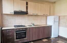 Apartament de 2 camere, 65 mp, terasa spatioasa, zona Lipovei!