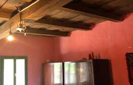 Casa traditionala 80 mp utili, 3000 mp teren! Exterior Sud!