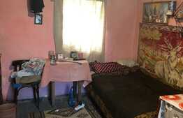 Casa traditionala 80 mp utili, 3000 mp teren! Exterior Sud!