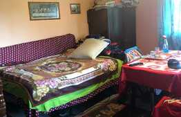 Casa traditionala 80 mp utili, 3000 mp teren! Exterior Sud!