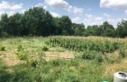 Casa traditionala 80 mp utili, 3000 mp teren! Exterior Sud!