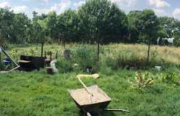 Casa traditionala 80 mp utili, 3000 mp teren! Exterior Sud!