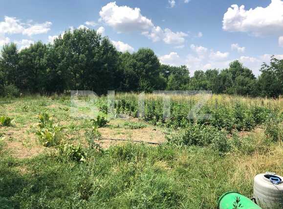 Casa de vânzare 3 camere Exterior Sud - 67961CV | BLITZ Timișoara | Poza7