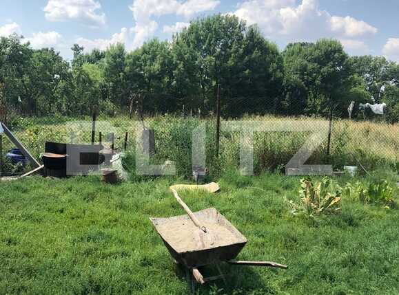 Casa de vânzare 3 camere Exterior Sud - 67961CV | BLITZ Timișoara | Poza6