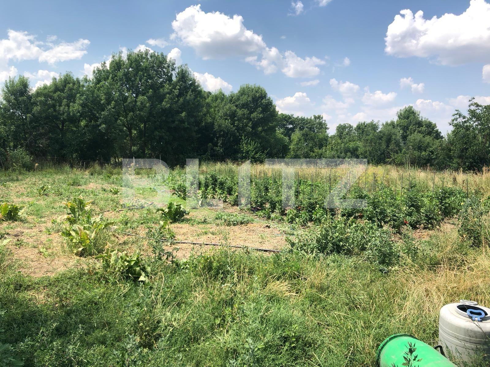 Casa de vânzare 3 camere Exterior Sud - 67961CV | BLITZ Timișoara | Poza7