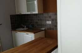 Casa duplex 1/2, 100 mp utili 375 mp teren