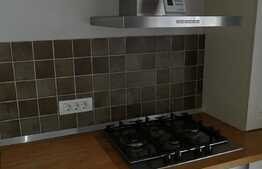 Casa duplex 1/2, 100 mp utili 375 mp teren