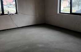 Casa individuala, 120 mp, Remetea Mare