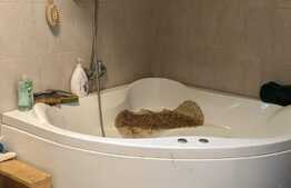  De vanzare casa individuala, teren 1633 mp, Bazosu Nou