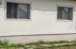  De vanzare casa individuala, teren 1633 mp, Bazosu Nou