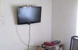  De vanzare casa individuala, teren 1633 mp, Bazosu Nou