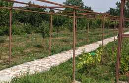  De vanzare casa individuala, teren 1633 mp, Bazosu Nou