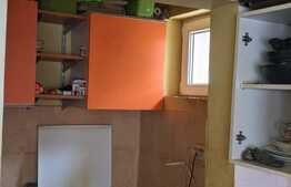  De vanzare casa individuala, teren 1633 mp, Bazosu Nou