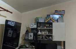  De vanzare casa individuala, teren 1633 mp, Bazosu Nou