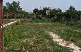  De vanzare casa individuala, teren 1633 mp, Bazosu Nou