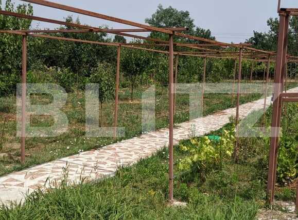 Casa de vânzare 3 camere  - 68223CV | BLITZ Timișoara | Poza5