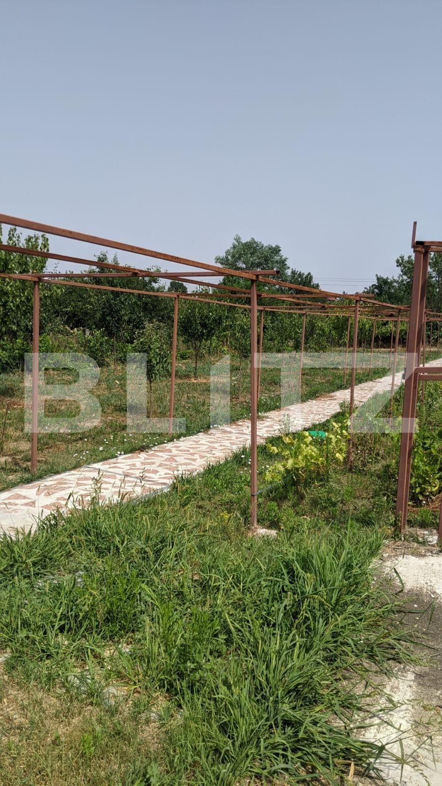 Casa de vânzare 3 camere  - 68223CV | BLITZ Timișoara | Poza5