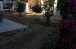 Casa de vanzare, 120 mp utili, teren 991 mp