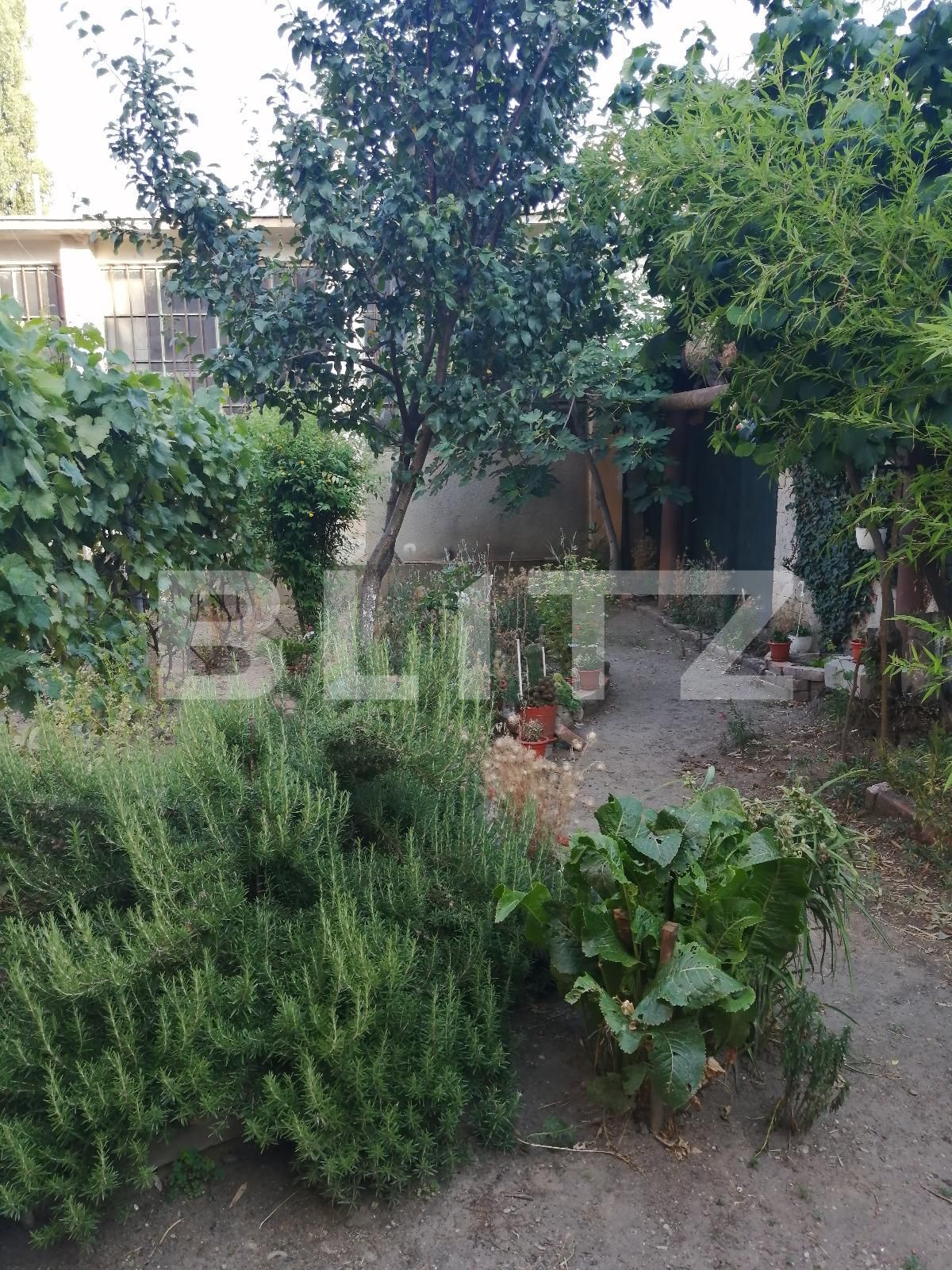 Casa de vânzare 3 camere Traian - 68265CV | BLITZ Timișoara | Poza2