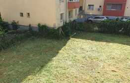 Casa individuala, 582 mp teren, zona Complexului Studentesc! 