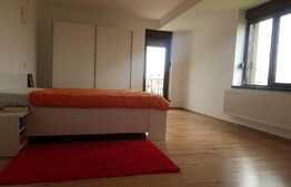 Casa de 180 mp utili, 388 mp teren, Dumbravita!