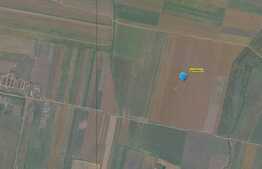 Teren extravilan, 25.000 mp, Giarmata