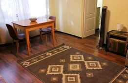 Apartament cu 2 camere, 39 de mp utili, situat in zona Dacia