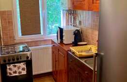 Apartament cu 2 camere, 39 de mp utili, situat in zona Dacia