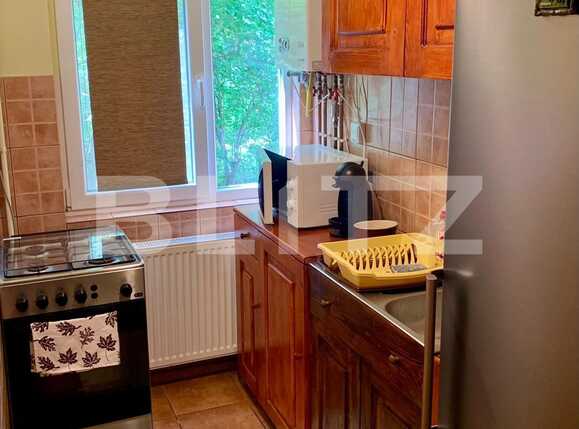 Apartament de vânzare 2 camere Dacia - 68480AV | BLITZ Timișoara | Poza9
