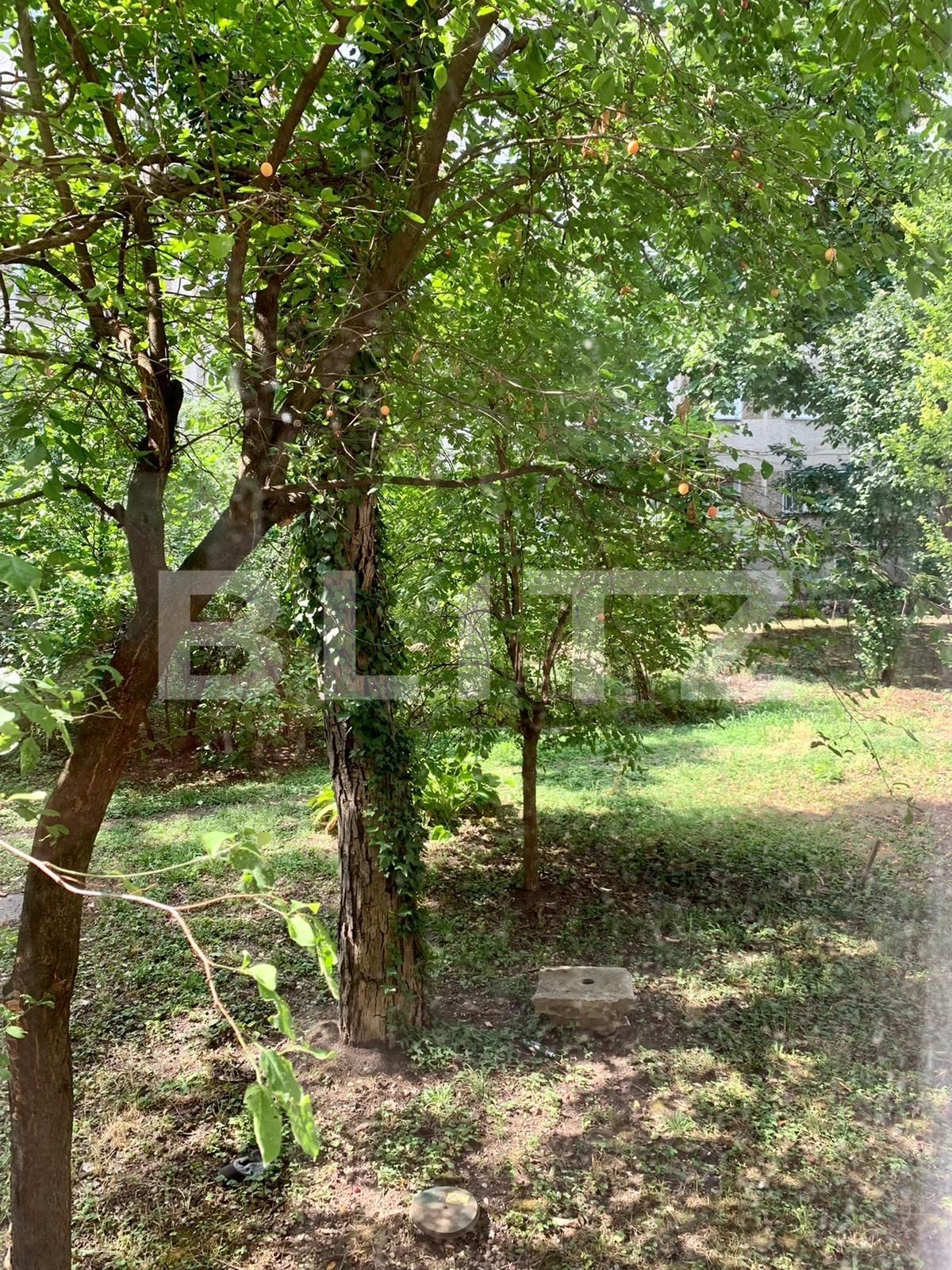 Apartament de vânzare 2 camere Dacia - 68480AV | BLITZ Timișoara | Poza12