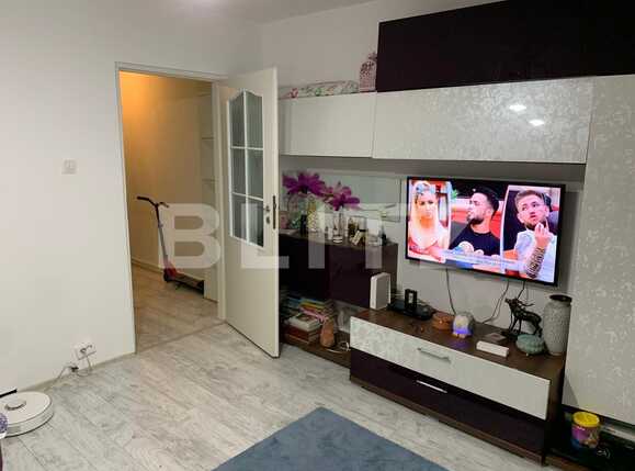 Garsonieră de vânzare Sagului - 68499AV | BLITZ Timișoara | Poza2