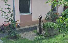 Casă individuală, 100 mp utili, 335 mp teren, cartier Ronaţ