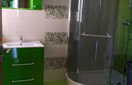 Casa spatioasa de vanzare, 284 mp utili, teren 763 mp, la intrare in Dumbravita