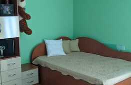 Casa spatioasa de vanzare, 284 mp utili, teren 763 mp, la intrare in Dumbravita