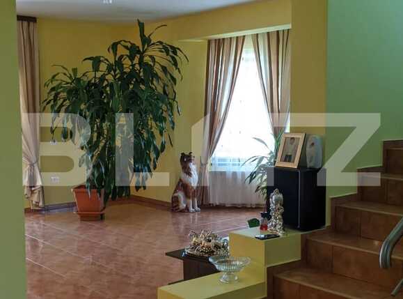 Casa de vânzare 5 camere Dumbravita - 68673CV | BLITZ Timișoara | Poza14