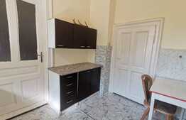 Apartament o camera, curte interioara, zona Iosefin