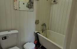 Apartament o camera, curte interioara, zona Iosefin