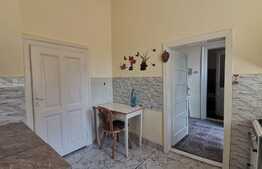 Apartament o camera, curte interioara, zona Iosefin