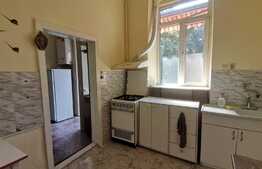 Apartament o camera, curte interioara, zona Iosefin