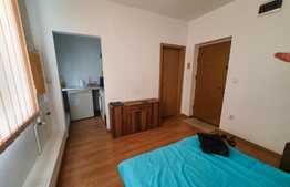 Ocazie, garsoniera de 20 mp, in zona Lipovei, parter