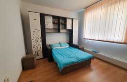 Ocazie, garsoniera de 20 mp, in zona Lipovei, parter