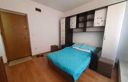 Ocazie, garsoniera de 20 mp, in zona Lipovei, parter