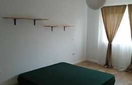 Duplex de 120 mp utili, 300 mp teren, in Dumbravita! Ocazie!