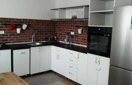 Duplex de 120 mp utili, 300 mp teren, in Dumbravita! Ocazie!