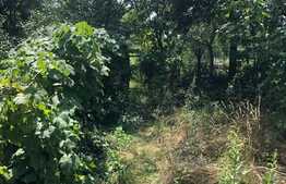 Casa individuala, 120 mp, teren 1435 mp, Ciarda Rosie